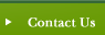 Contact-Us